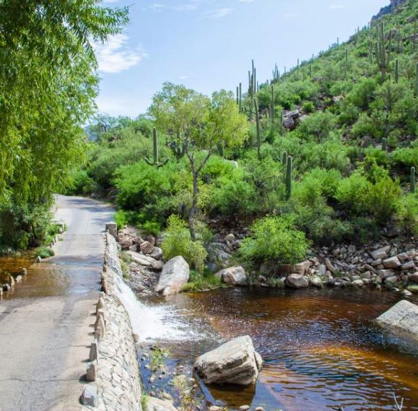 Sabino Canyon